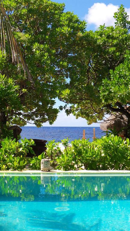 Green Lodge Moorea Temae Extérieur photo